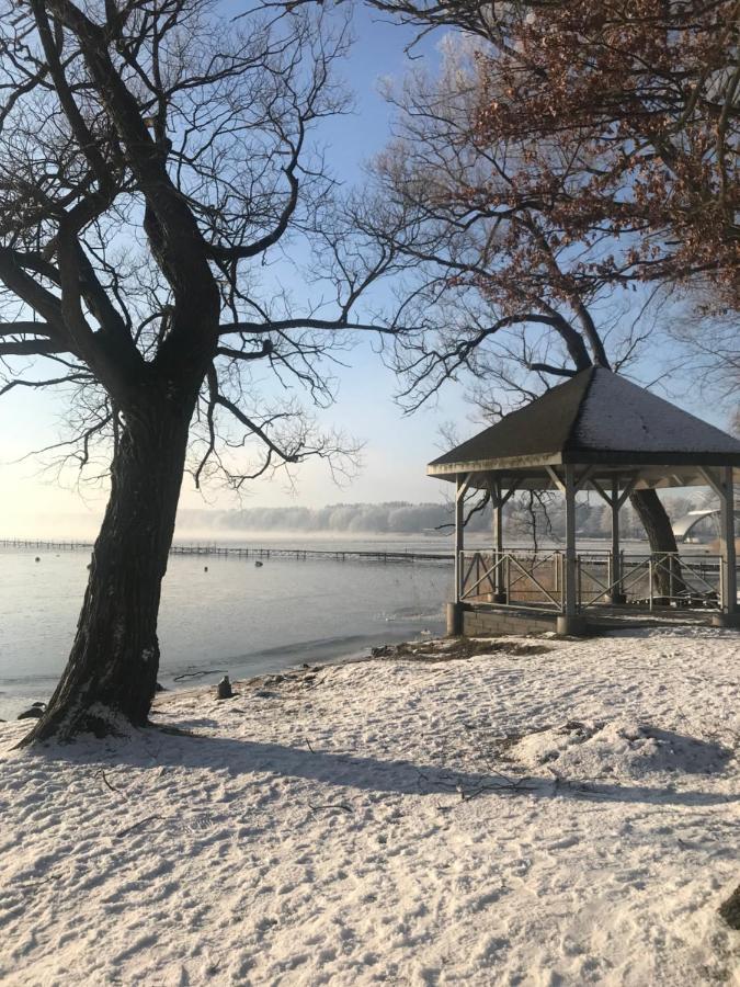Drewniany Domek Nad Miedwiem مورزيسزين المظهر الخارجي الصورة